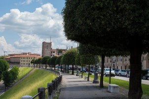 Viale dei Martiri