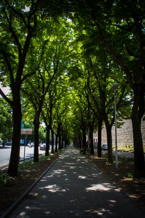Viale delle Fosse